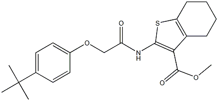 methyl 2-({2-[4-(tert-butyl)phenoxy]acetyl}amino)-4,5,6,7-tetrahydro-1-benzothiophene-3-carboxylate Struktur