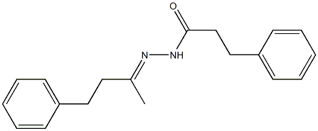 N'-[(E)-1-methyl-3-phenylpropylidene]-3-phenylpropanohydrazide Struktur