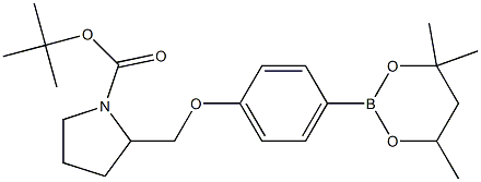 tert-Butyl 2-{[4-(4,4,6-trimethyl-1,3,2-dioxaborinan-2-yl)phenoxy]methyl}pyrrolidine-1-carboxylate Struktur