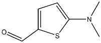 5-Dimethylamino-thiophene-2-carbaldehyde ,97% Struktur