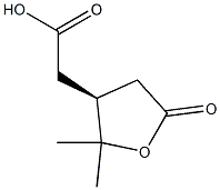 (S)-Tetrahydro-2,2-dimethyl-5-oxo-3-furanacetic acid Struktur