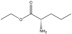 (R)-2-Propylglycine ethyl ester Struktur