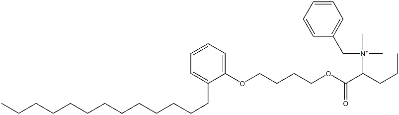 N,N-Dimethyl-N-benzyl-N-[1-[[4-(2-tridecylphenyloxy)butyl]oxycarbonyl]butyl]aminium Struktur