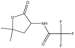 N-(5,5-Dimethyl-2-oxotetrahydrofuran-3-yl)-2,2,2-trifluoroacetamide Struktur