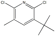 2,6-Dichloro-3-tert-butyl-5-methylpyridine Struktur