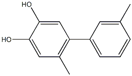 4-(3-Methylphenyl)-5-methylbenzene-1,2-diol Struktur