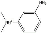 N,N-Dimethyl-3-aminoanilinium Struktur