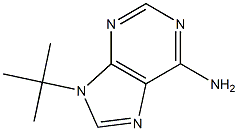 6-Amino-9-tert-butyl-9H-purine Struktur