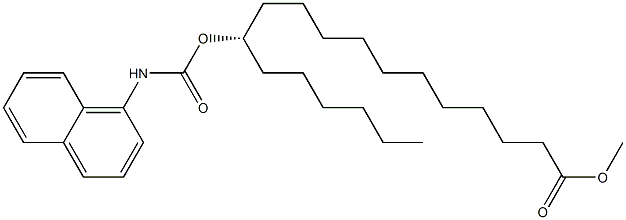 [S,(+)]-12-(1-Naphtylaminocarbonyloxy)stearic acid methyl ester Struktur