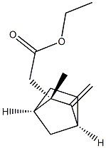 [(1R,2S,4S)-2-Methyl-3-methylenebicyclo[2.2.1]heptan-2-yl]acetic acid ethyl ester Struktur