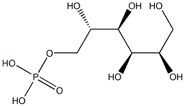 Sorbitol-phosphate solution (1.2 MOL/L, pH 7.5, sterile)