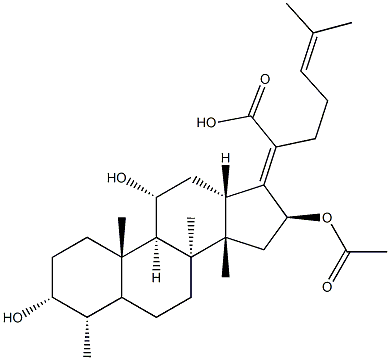  化學(xué)構(gòu)造式