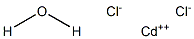 Cadmium chloride monohydrate Struktur