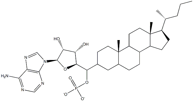 cholyl-adenylate Struktur