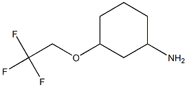 3-(2,2,2-TRIFLUOROETHOXY)CYCLOHEXANAMINE Struktur