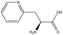 (S)-2-AMINO-3-(PYRIDIN-2-YL)PROPANOIC ACID Struktur