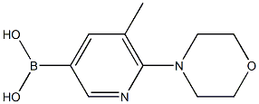 5-Methyl-6-(morpholin-4-yl)pyridine-3-boronic acid Struktur