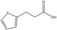 3-thien-2-ylpropanoic acid Struktur