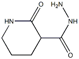 2-oxopiperidine-3-carbohydrazide Struktur