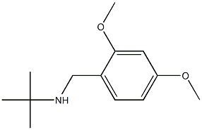 N-(tert-butyl)-N-(2,4-dimethoxybenzyl)amine Struktur