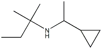 (1-cyclopropylethyl)(2-methylbutan-2-yl)amine Struktur