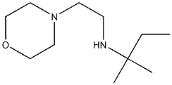 (2-methylbutan-2-yl)[2-(morpholin-4-yl)ethyl]amine Struktur