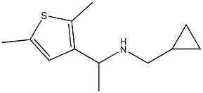 (cyclopropylmethyl)[1-(2,5-dimethylthiophen-3-yl)ethyl]amine Struktur