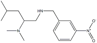 [2-(dimethylamino)-4-methylpentyl][(3-nitrophenyl)methyl]amine Struktur