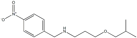 [3-(2-methylpropoxy)propyl][(4-nitrophenyl)methyl]amine Struktur