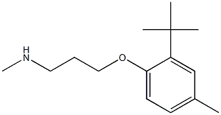 [3-(2-tert-butyl-4-methylphenoxy)propyl](methyl)amine Struktur