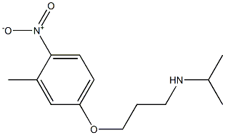 [3-(3-methyl-4-nitrophenoxy)propyl](propan-2-yl)amine Struktur