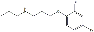 [3-(4-bromo-2-chlorophenoxy)propyl](propyl)amine Struktur