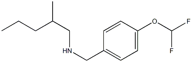 {[4-(difluoromethoxy)phenyl]methyl}(2-methylpentyl)amine Struktur