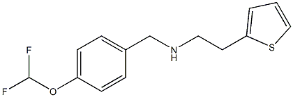 {[4-(difluoromethoxy)phenyl]methyl}[2-(thiophen-2-yl)ethyl]amine Struktur