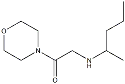 1-(morpholin-4-yl)-2-(pentan-2-ylamino)ethan-1-one Struktur