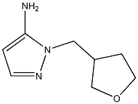 1-(tetrahydrofuran-3-ylmethyl)-1H-pyrazol-5-amine Struktur