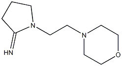 1-[2-(morpholin-4-yl)ethyl]pyrrolidin-2-imine Struktur