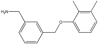 1-{3-[(2,3-dimethylphenoxy)methyl]phenyl}methanamine Struktur