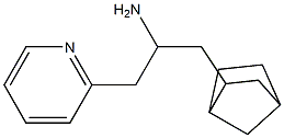 1-{bicyclo[2.2.1]heptan-2-yl}-3-(pyridin-2-yl)propan-2-amine Struktur