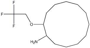 2-(2,2,2-trifluoroethoxy)cyclododecan-1-amine Struktur