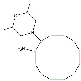 2-(2,6-dimethylmorpholin-4-yl)cyclododecan-1-amine Struktur