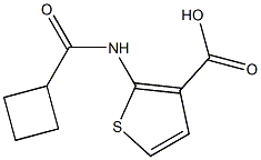 2-[(cyclobutylcarbonyl)amino]thiophene-3-carboxylic acid Struktur