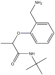 2-[2-(aminomethyl)phenoxy]-N-tert-butylpropanamide Struktur