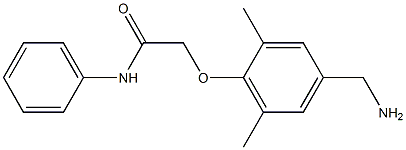 2-[4-(aminomethyl)-2,6-dimethylphenoxy]-N-phenylacetamide Struktur