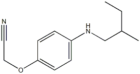 2-{4-[(2-methylbutyl)amino]phenoxy}acetonitrile Struktur