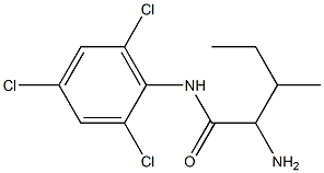 2-amino-3-methyl-N-(2,4,6-trichlorophenyl)pentanamide Struktur