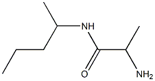 2-amino-N-(1-methylbutyl)propanamide Struktur