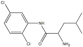 2-amino-N-(2,5-dichlorophenyl)-4-methylpentanamide Struktur