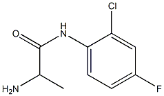 2-amino-N-(2-chloro-4-fluorophenyl)propanamide Struktur