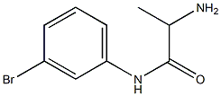 2-amino-N-(3-bromophenyl)propanamide Struktur